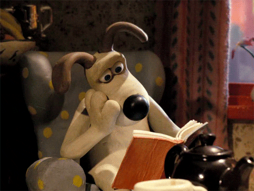 Animated dog sitting on an armchair reading a book