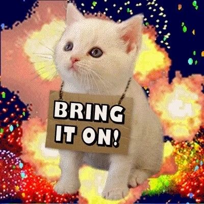 Fireworks background with white kitten in front, wearing a sign saying, Bring it on!