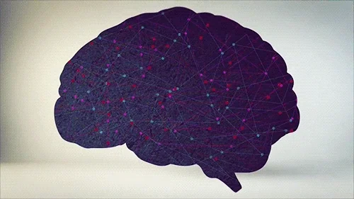 Animation of a brain strengthening connections through repeated actions