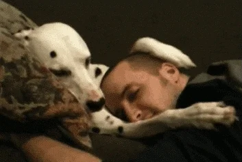 A dog petting its owner.