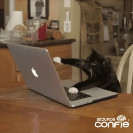 A cat types rapidly on a laptop. Text reads: "It's work time!"