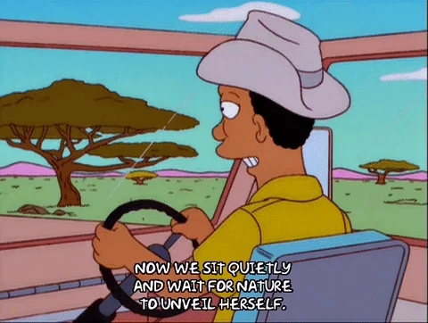 Carl from The Simpsons drives a jeep in Africa. He says, 'Now we sit quietly and wait for nature to unveil herself.'