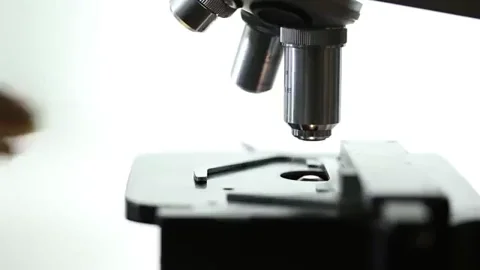 An epidemiologist placing a sample onto a microscope under the lens.