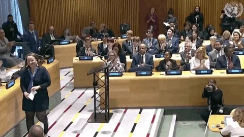 A UN meeting. Delegates clap.