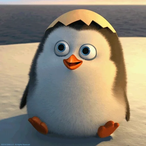 Penguin from Madagascar waving hello.