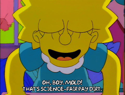 Lisa Simpson conducting a science experiment
