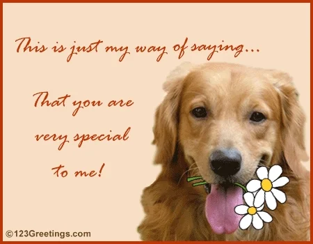A golden retriever holding daisies in its mouth. The text reads: 'This is just my way of saying that you are special to me!'