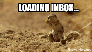 A squirrel finds out their inbox has 3502 new unread emails and runs away