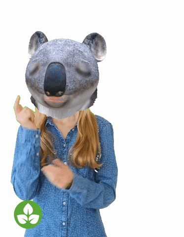A woman with koala face filet says, 'efficient, resourceful, koalafied.'