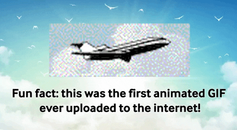 GIF of a plane flying. This was the first animated GIF ever uploaded to the internet!