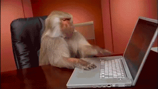 Monkey trying to get a laptop to work and getting frustrated when they can't