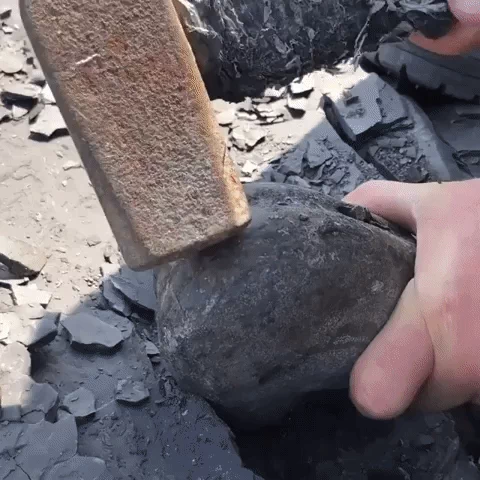  Fossil GIF. Someone breaks open a rock to find remains of an organism inside.