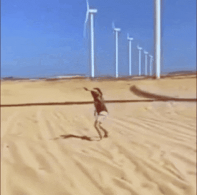 A man in a desert beside a wind turbine. He tries to jump over the shadows of the turbine's blades but falls.