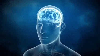 An animation that zooms into a person's brain to highlight individual neurons.