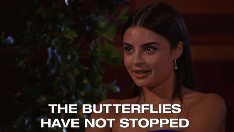 The butterflies have not stopped