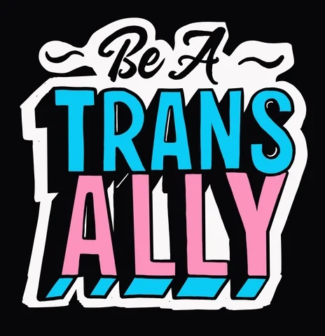 'Be A Trans Ally' in transgender Pride flag colored text.