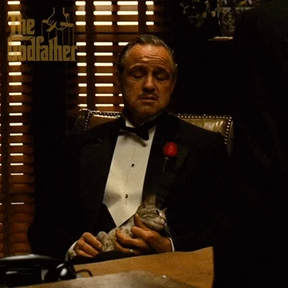 The opening scene from the movie The Godfather with Vito Corleone holding a small kitten saying, 