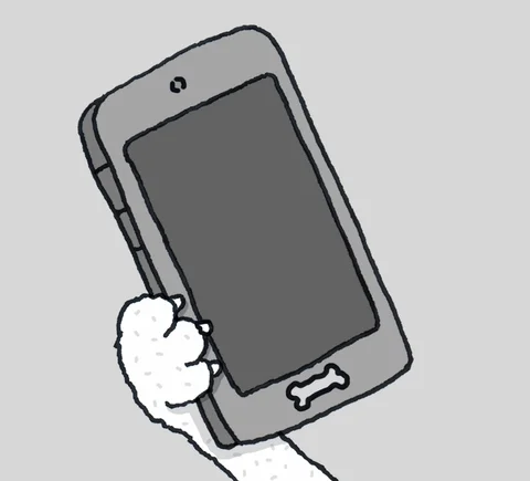 A text saying 