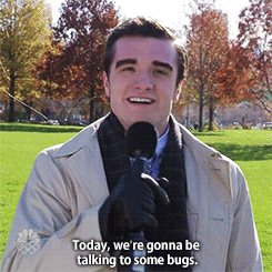 GIF of reporter standing outdoors speaking into a mic. Text on image says 