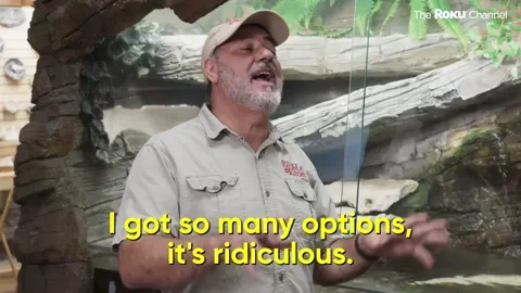 A zookeeper says, 'I got so many options, it's ridiculous.'