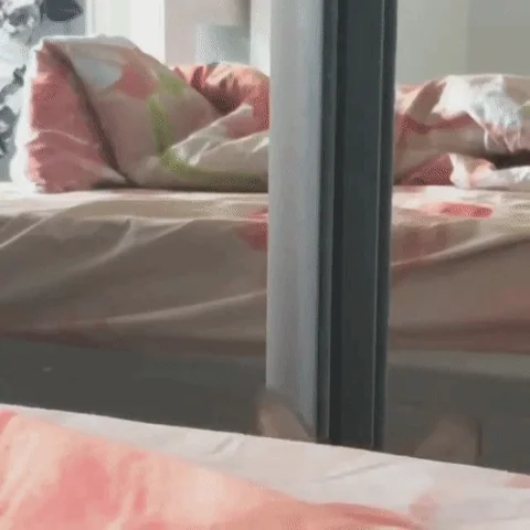 Cat raising its head to look over a bed and see what is happening.