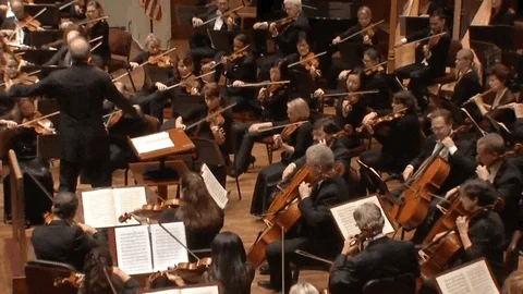 An orchestra perforning together