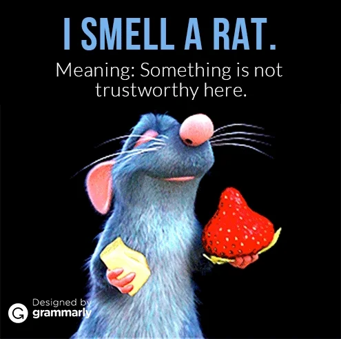 A cartoon rat eating a strawberry, with the caption, 'I smell a rat. Meaning: Something is not trustworthy here.'