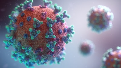 Image for Byte titled 'What are the 5 stages of a virus life cycle?'