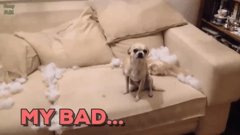 A chihuahua sitting on a couch with the stuffing ripped out of it and saying, 