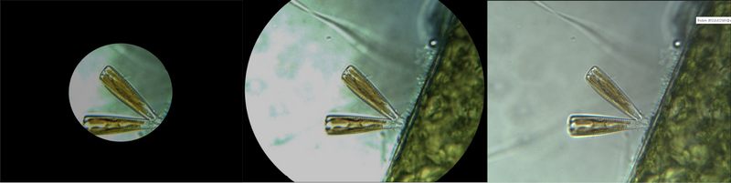 Three images that show a centered field diaphragm slowly opening.  