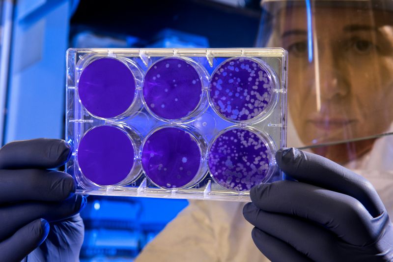 A virologist in a white hazmat suit is holding a tray holding 6 purple petri dishes with viruses growing in them.