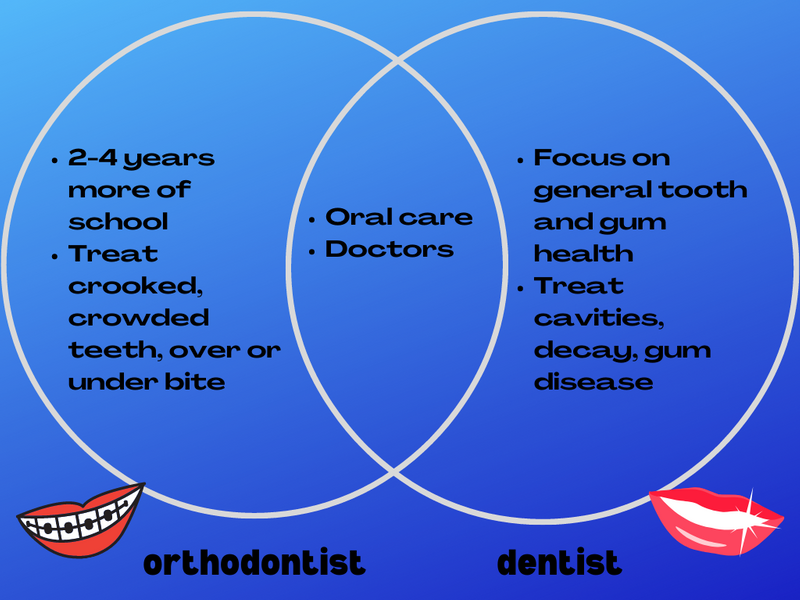 Venn Diagram comparing and contrasting orthodontists and dentists