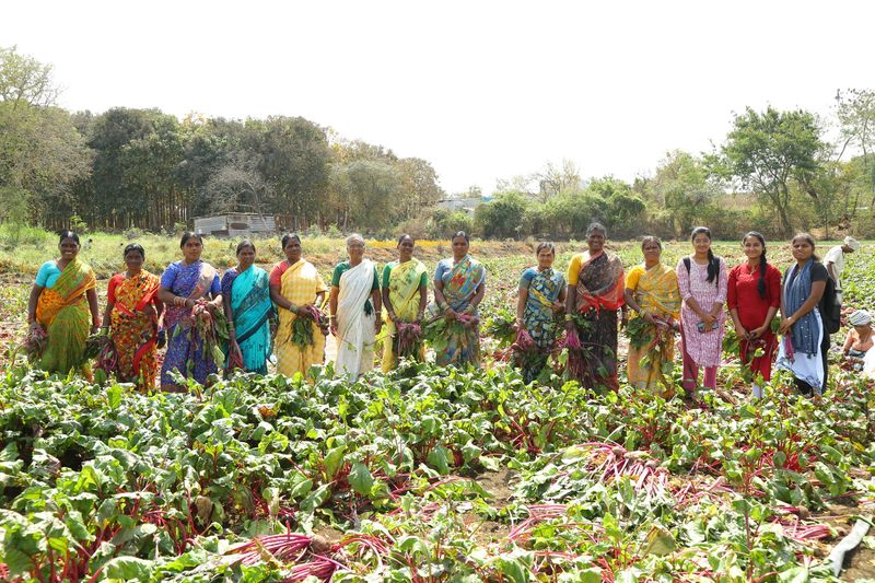 A group of local women standing around a large patch of vegetable garden.