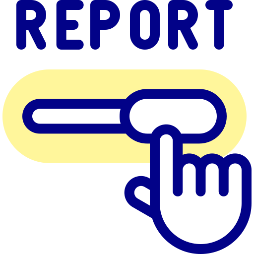 Report Icon