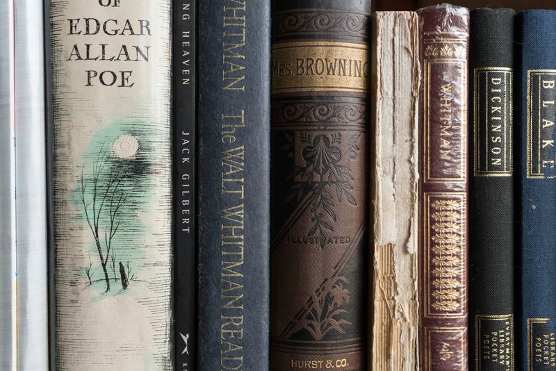 Books on a book shelf.