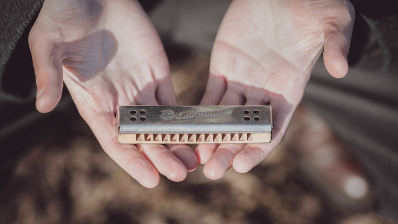 Harmonica placed in someone's hands