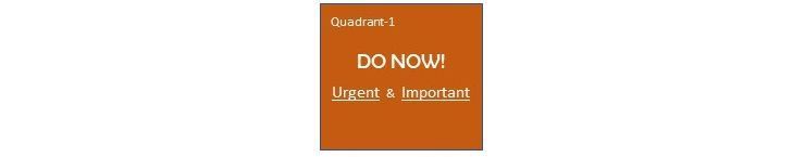 Quadrant 1: Do Now (Urgent & Important)