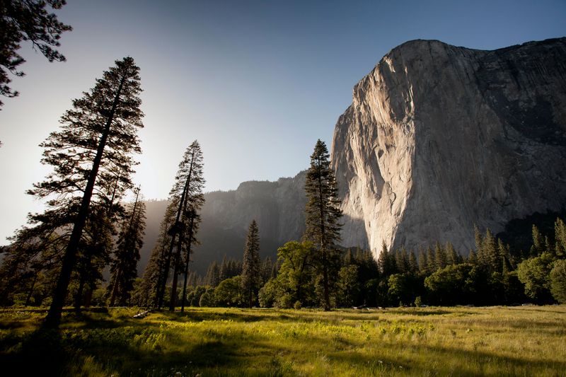 cliff with trees