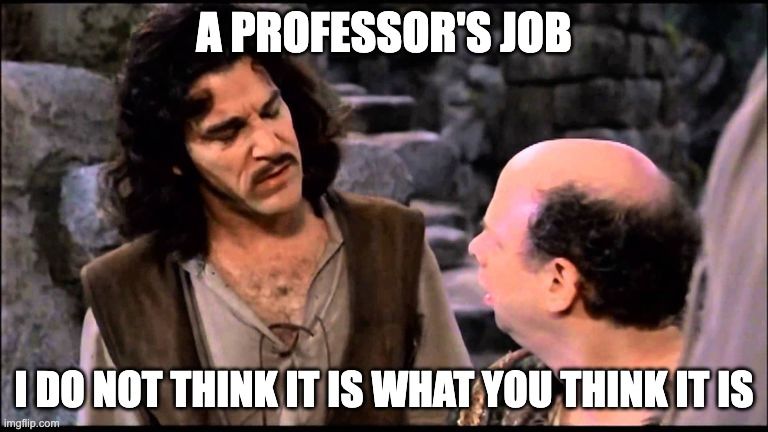 Princess Bride's Inigo Montoya saying a professor's job I do not think it is what you think it is