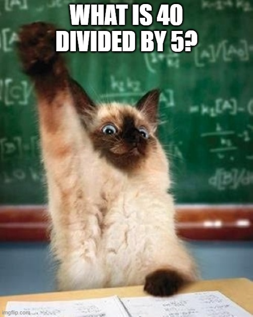 Question is What is 40 divided by 5 and a cat is raising its paw to answer