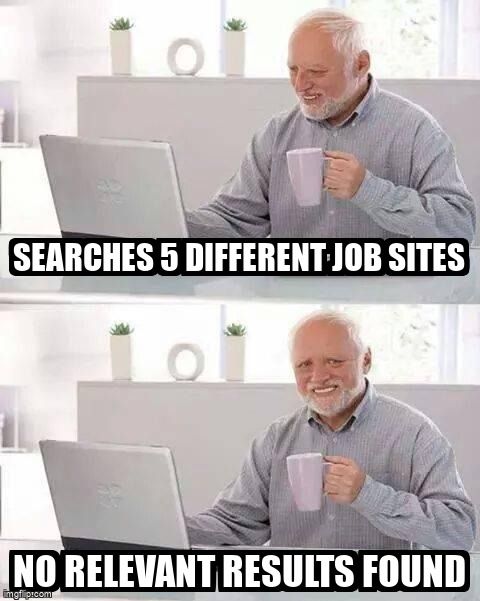 Meme about not being able to find relevant results on job search sites.