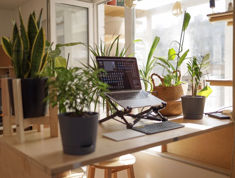 A home office with plants and a laptop on a desk