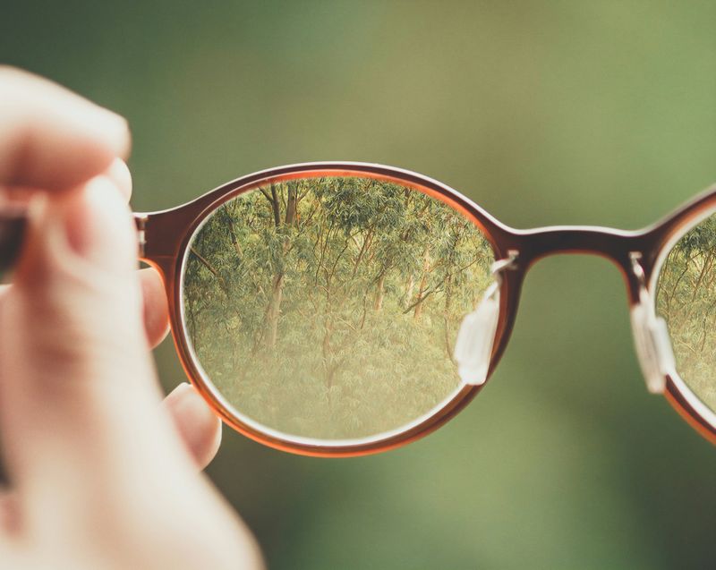 A person focuses on trees in a forest through the lenses of a pair of glasses.
