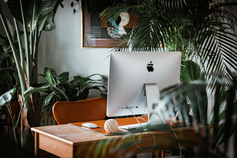 Tall potted plants surround a home office space and separate it from the rest of the room. 