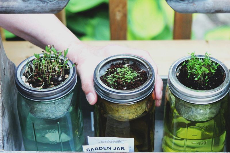 Three garden jars used for planting.