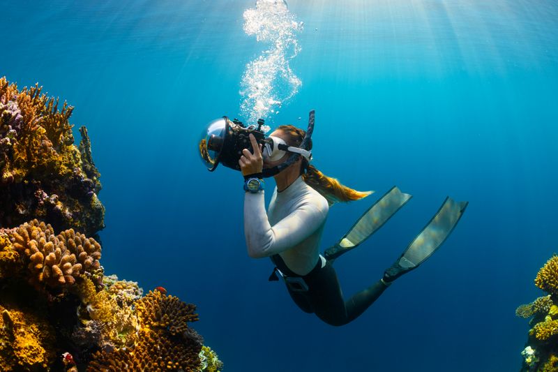 A underwater photographer taking pictures of a reef. 