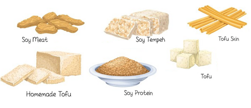 Vector images of soy based products - meat, tempeh, tofu skin, homemade tofu, soy protein, and tofu.
