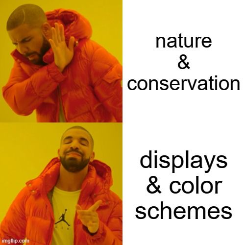 Drake says no to 'nature & conservation' and yes to 'displays & color schemes'.