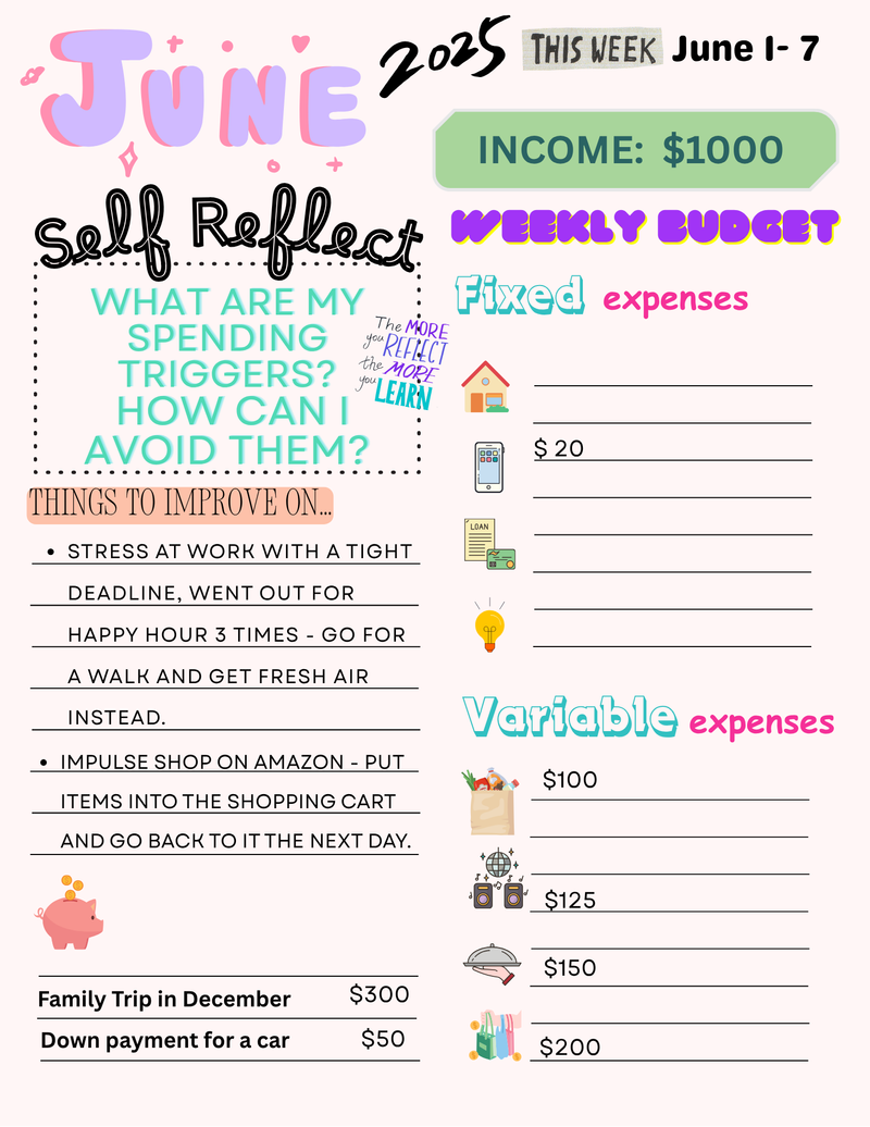 An example of a weekly financial habit journal (audio description below).