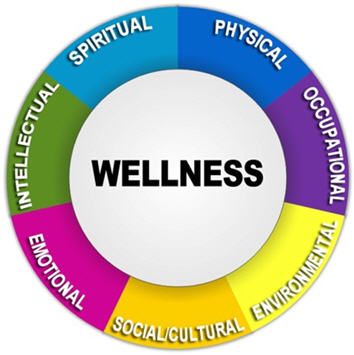 Wellness wheel. Sections labeled Physical, Occupational, Environmental, Social/cultural, Emotional, Intellectual & Spiritual 